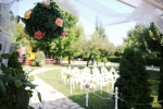 Tijana Jovan - venčanje u bašti